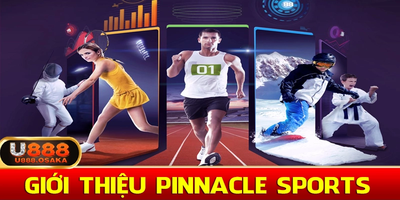 Giới thiệu về sảnh thể thao Pinnacle